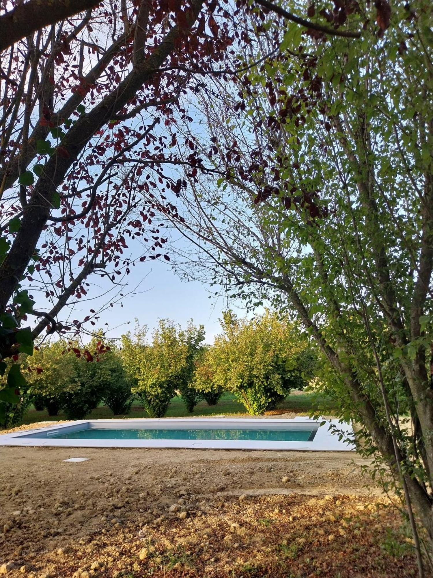 Miravigne House - Casa Di Campagna Con Cucina Castagnole delle Lanze Luaran gambar